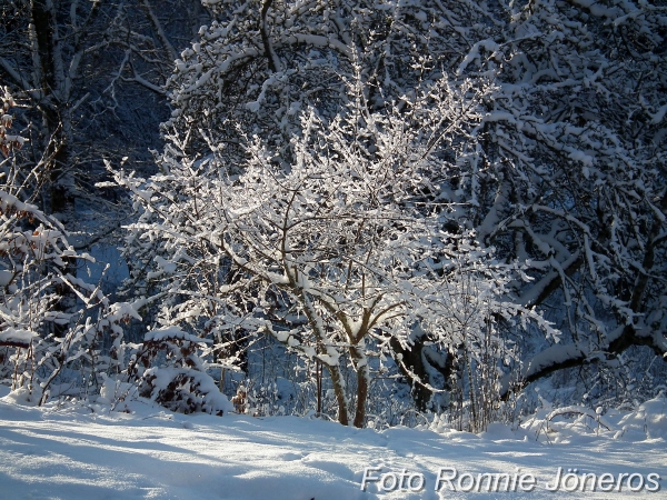 Vinter i Paradiset